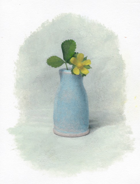 Woodsorrel